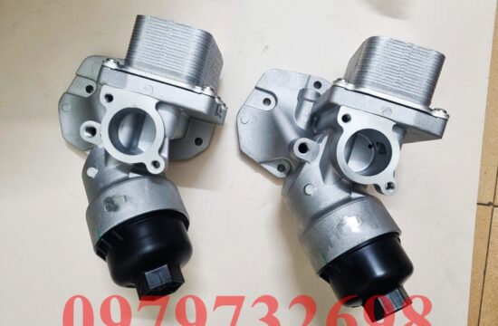 Két sinh hàn thaco